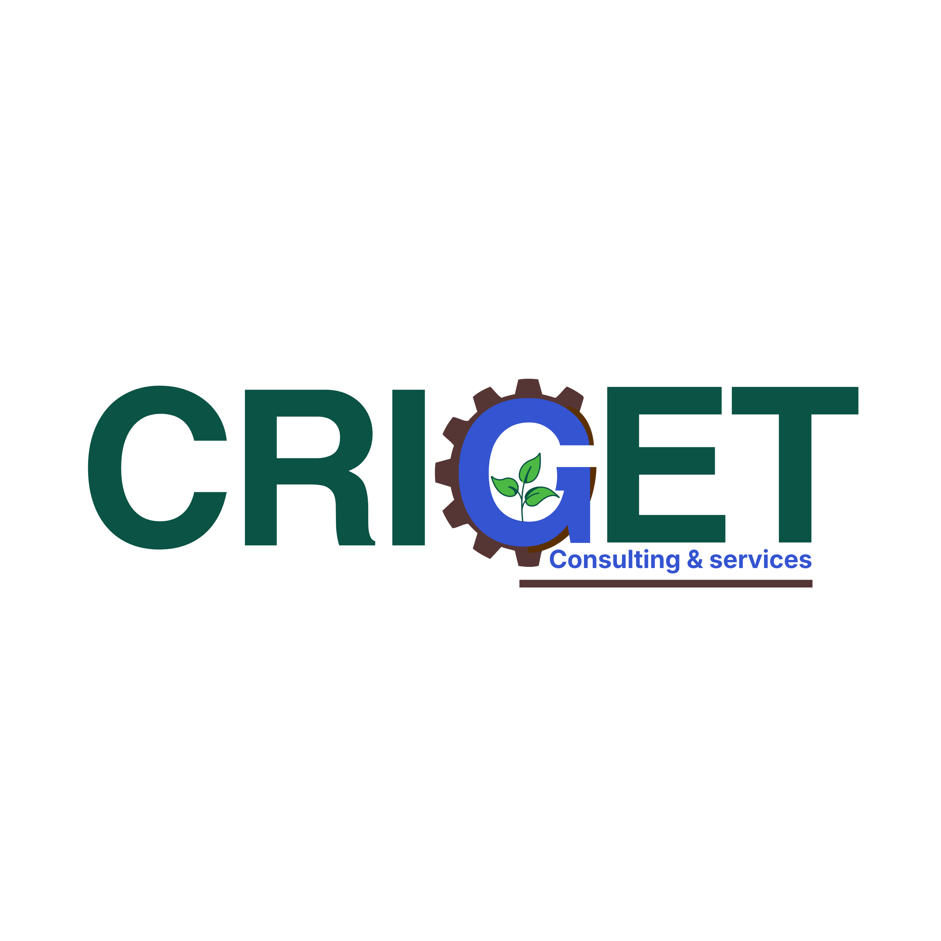 CRIGET-CS Logo